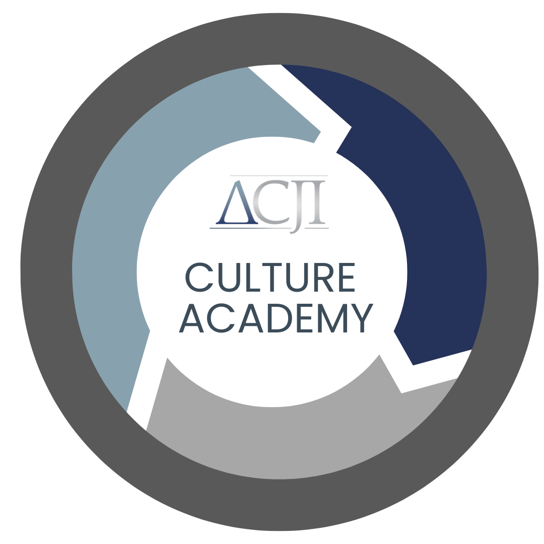 Culture Academy