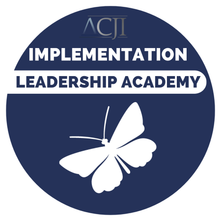 implementation-leadership-academy